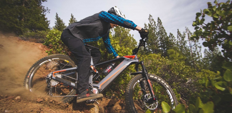 mountain bike fork guard