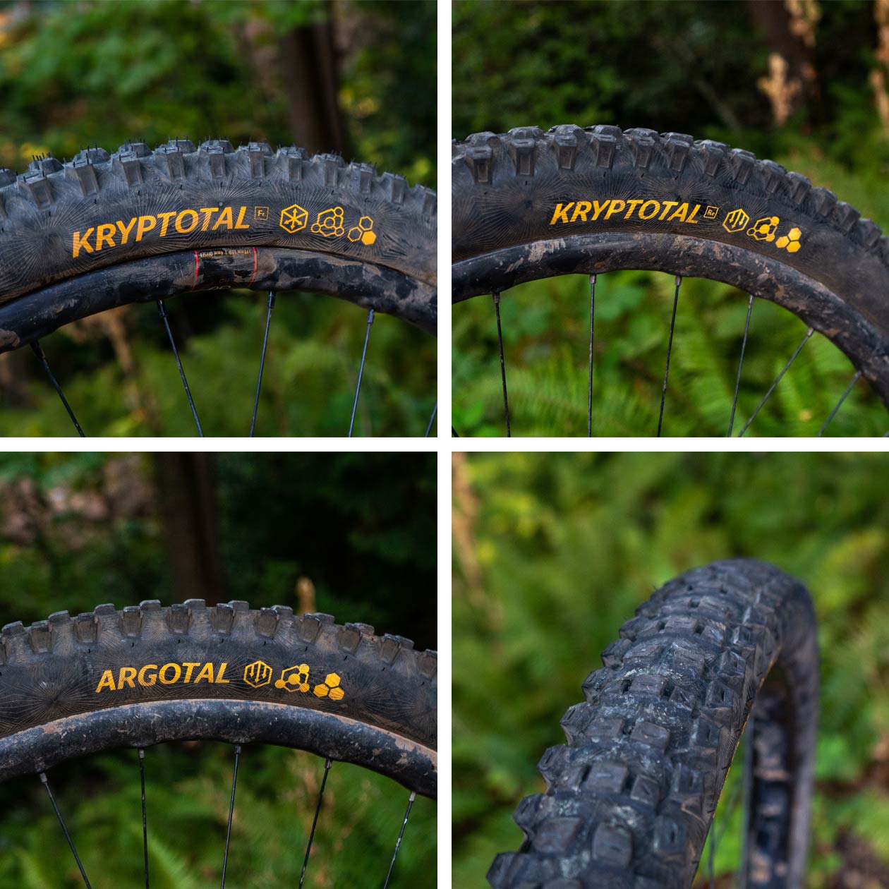 Continental Tire Lineup Review