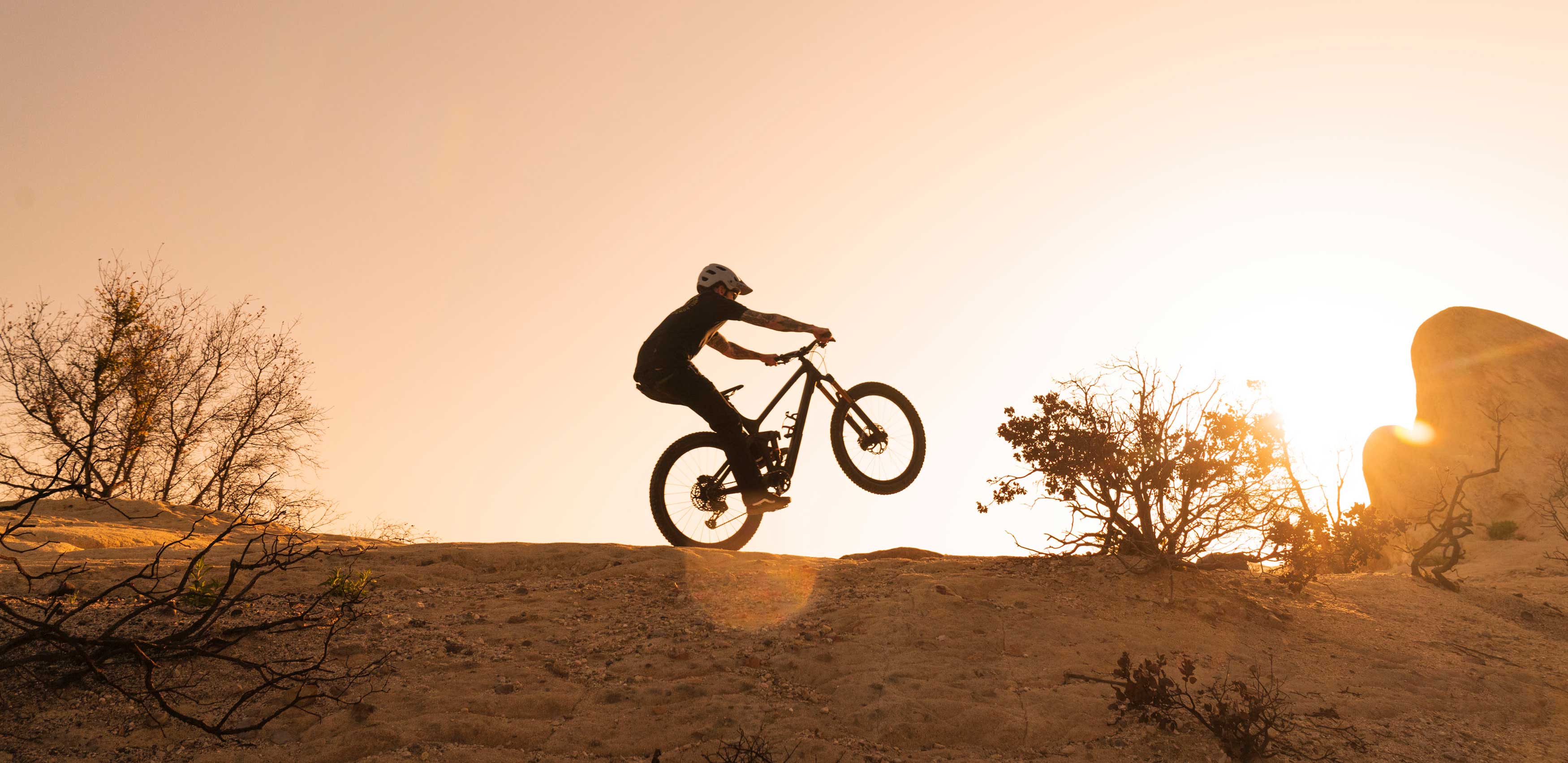 trek remedy bike park