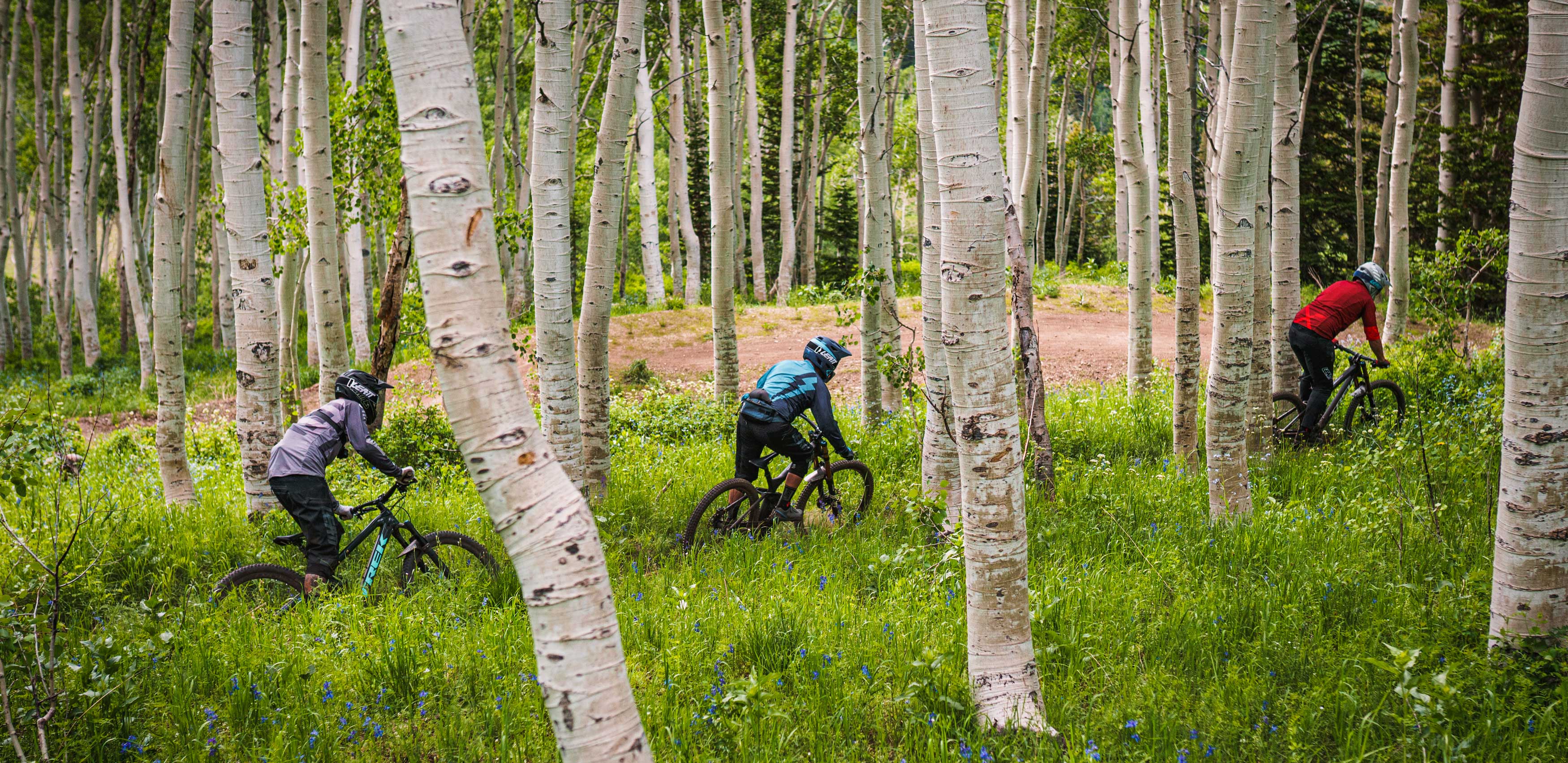 North American Bike Park Review Tour - Deer Valley Bike Park