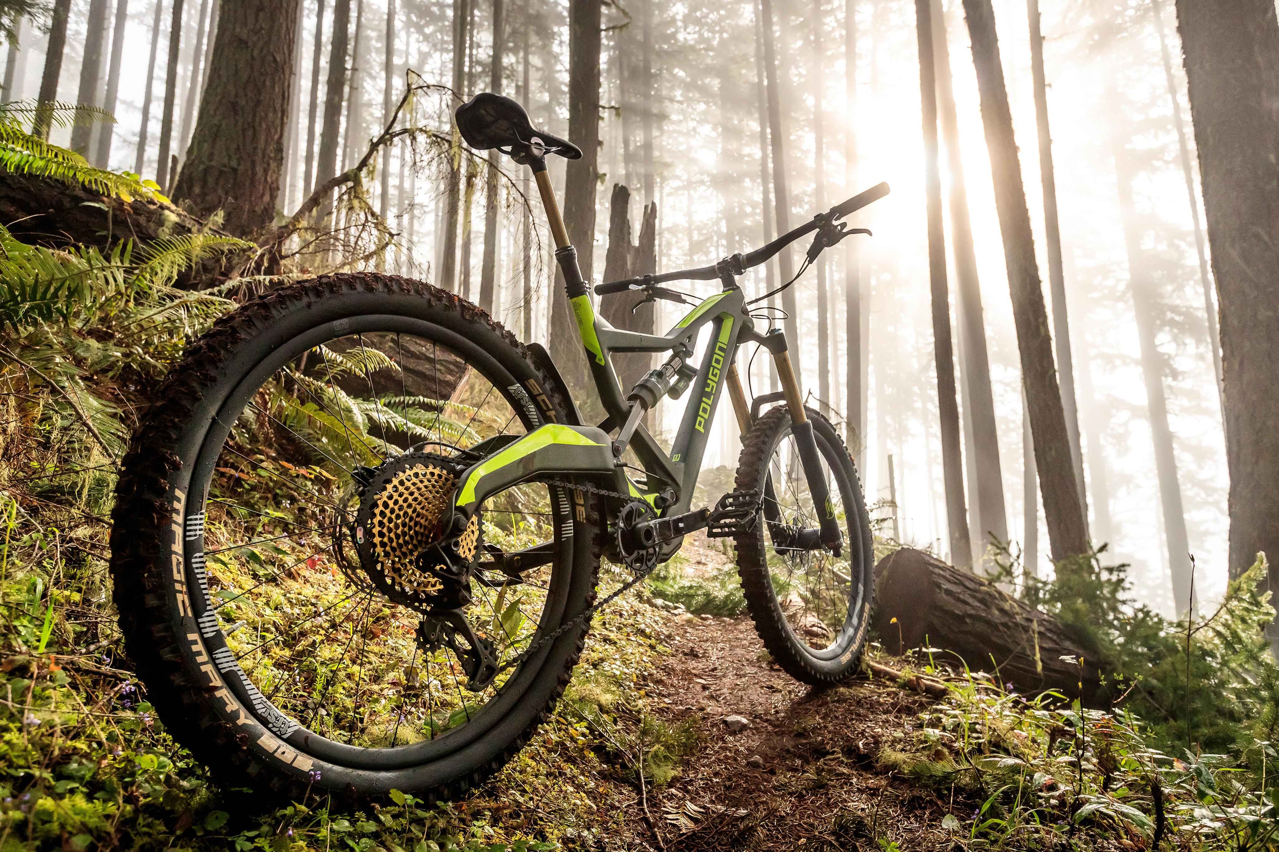 Fade out liter cube Polygon Mountain Bikes | MTB Brands | The Loam Wolf
