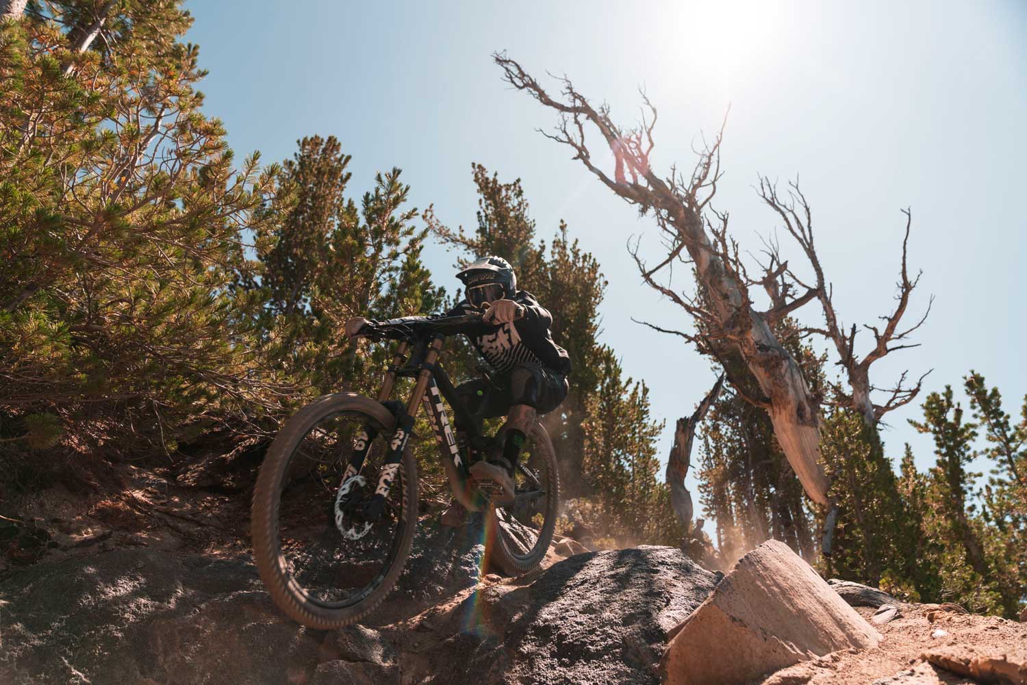 Review: <br>Mammoth Bike Park
