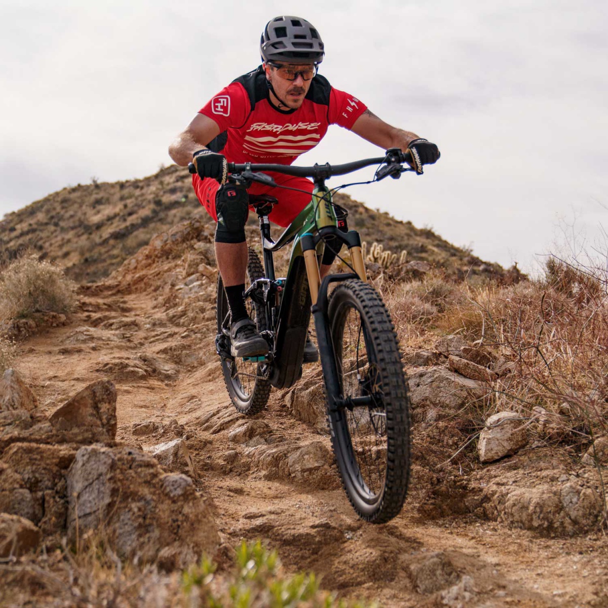 giant reign emtb