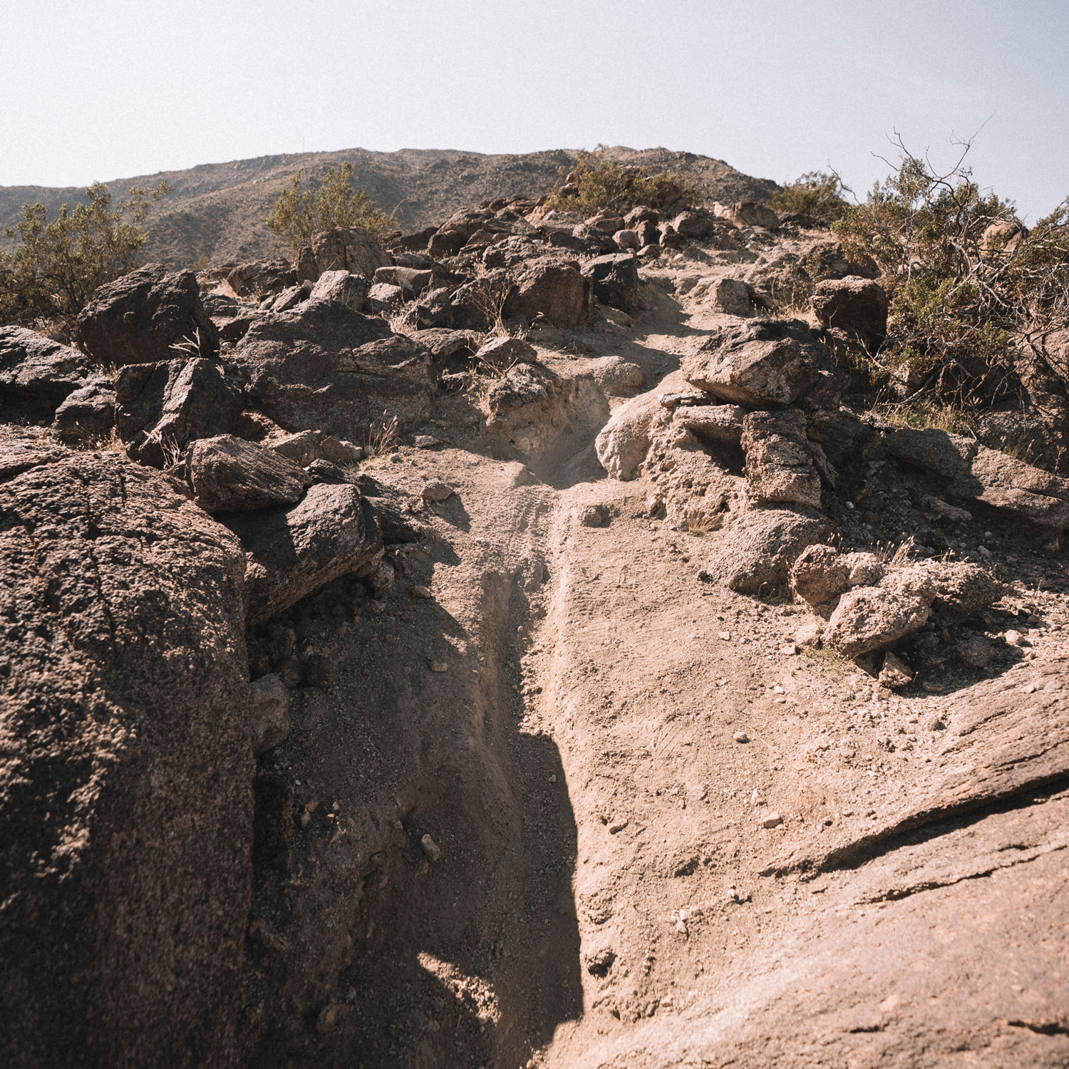 2020 eMTB Roundup: The Setting - Palm Springs