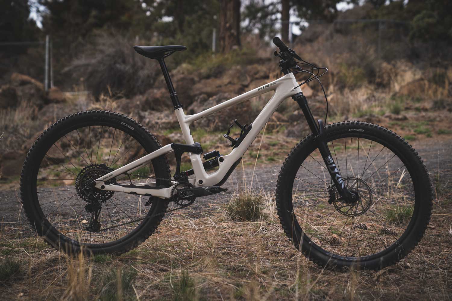 specialised enduro 2020