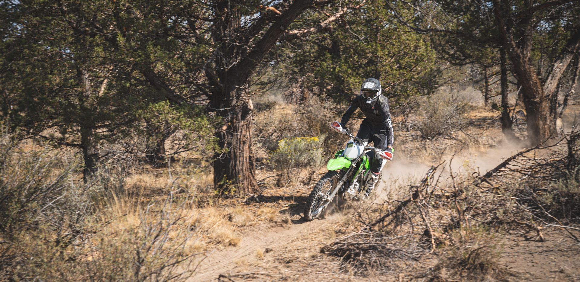 2020 Kawasaki KLX230R