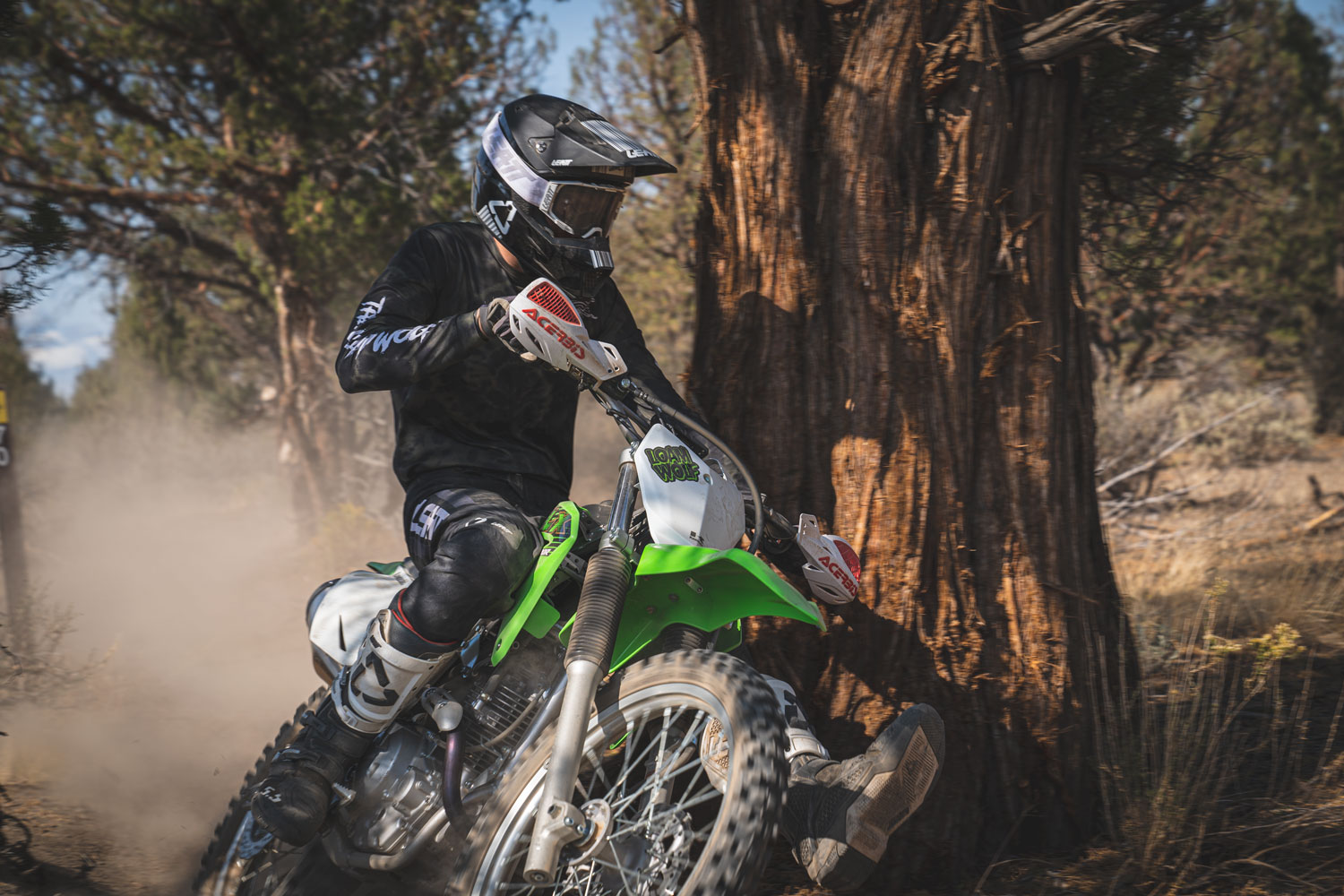 2020 Kawasaki KLX230R