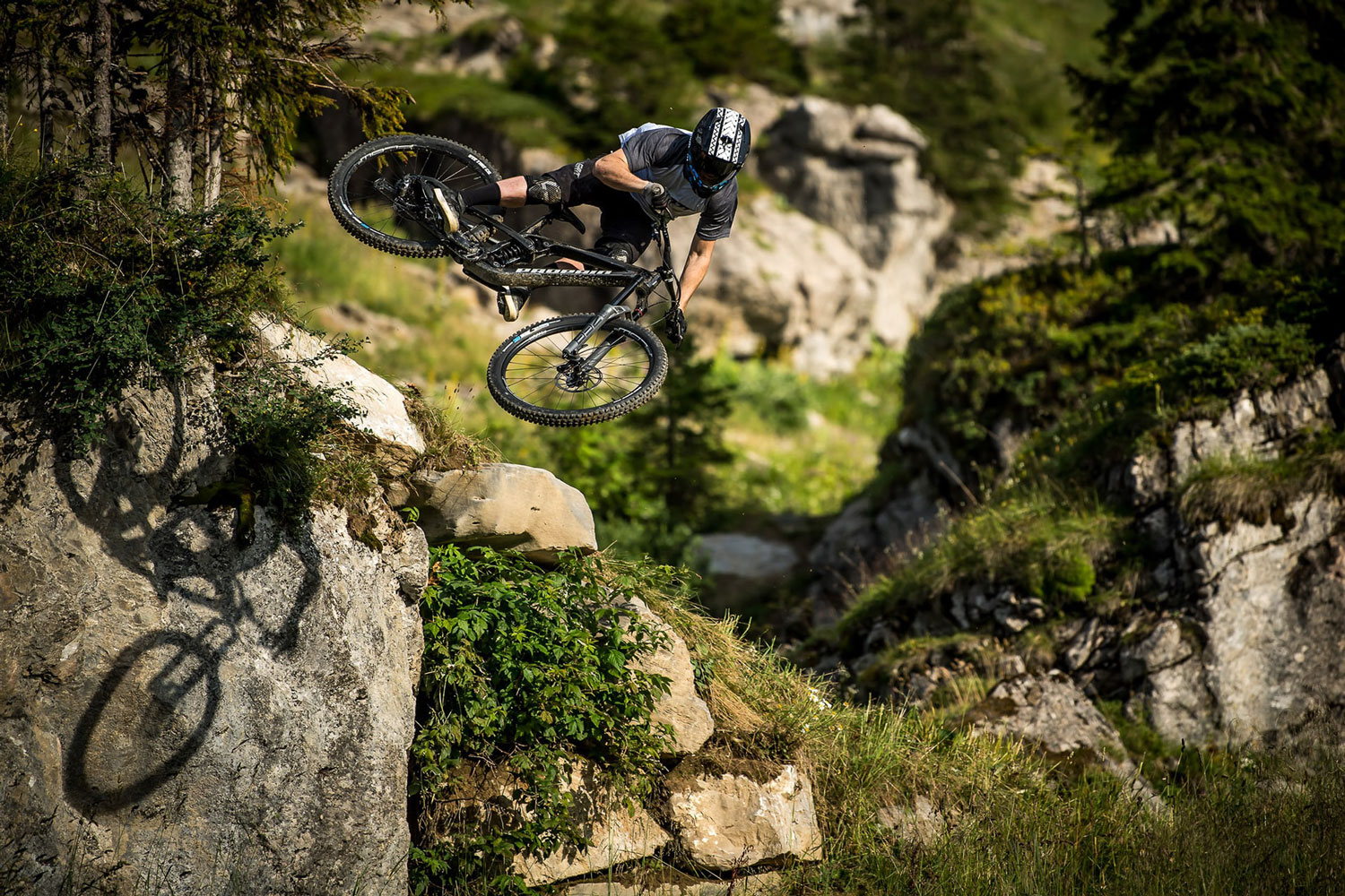 propain dirt jump bike