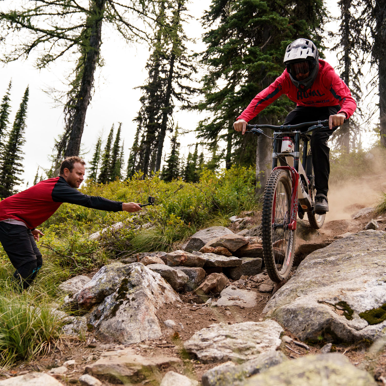 Schweitzer mountain 2025 bike park