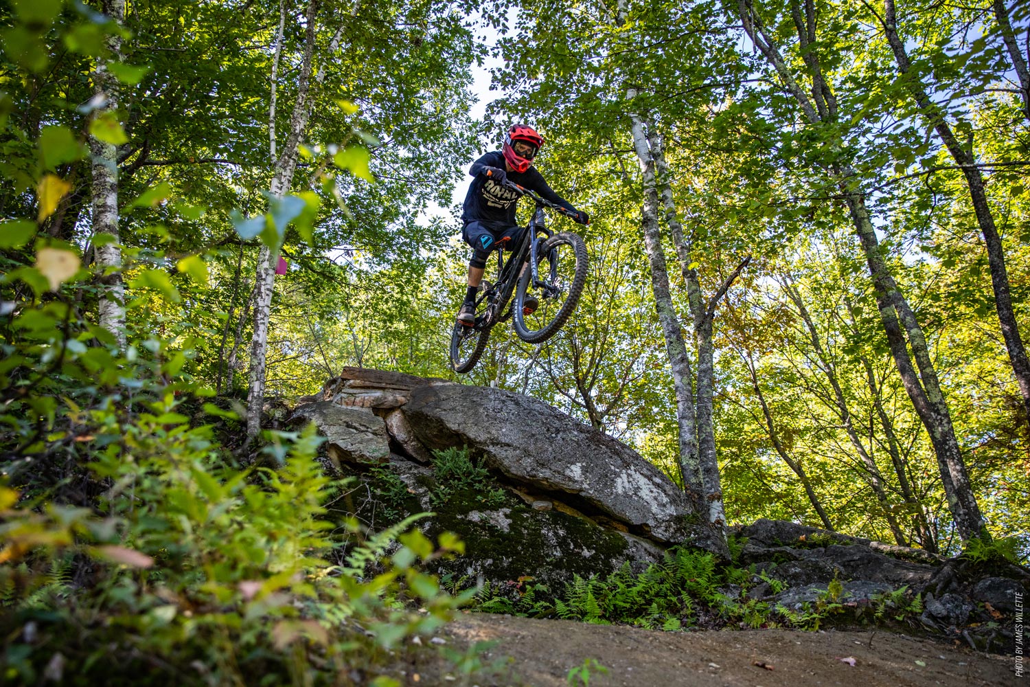 Review: Highland Mountain Bike Park - The Loam Wolf