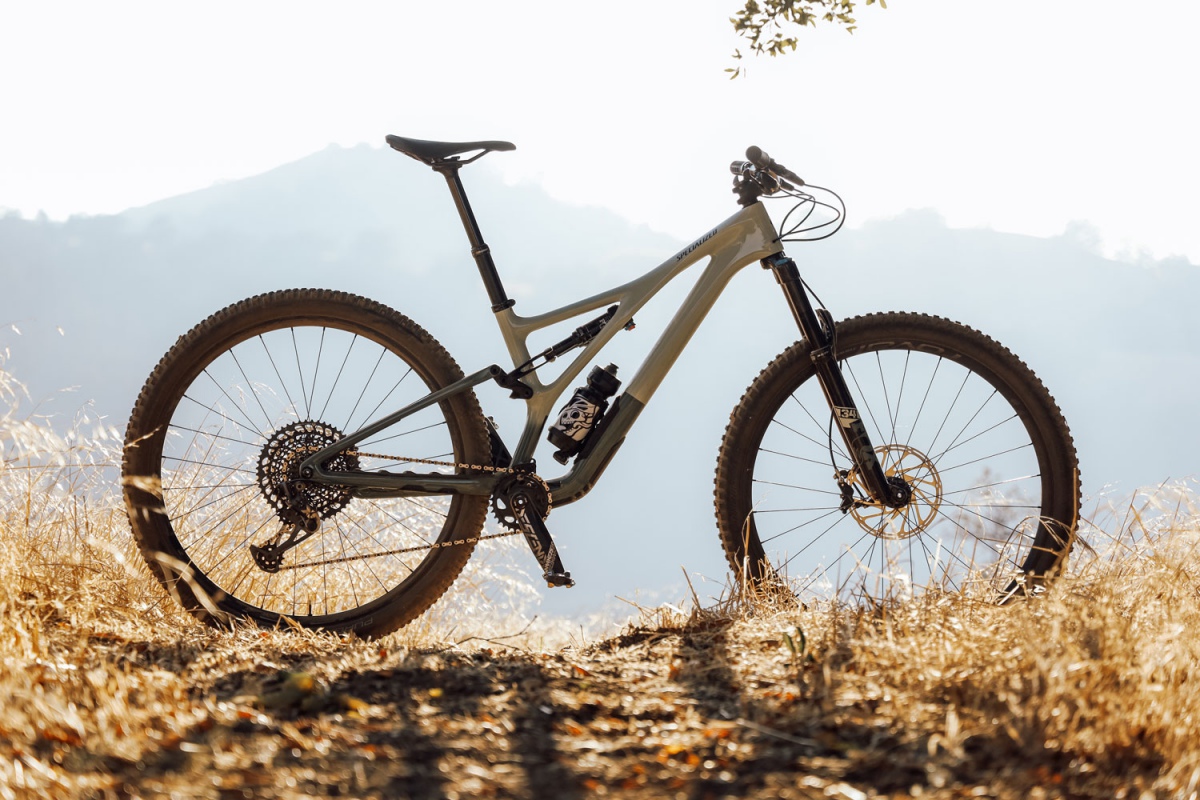 new stumpjumper 2020