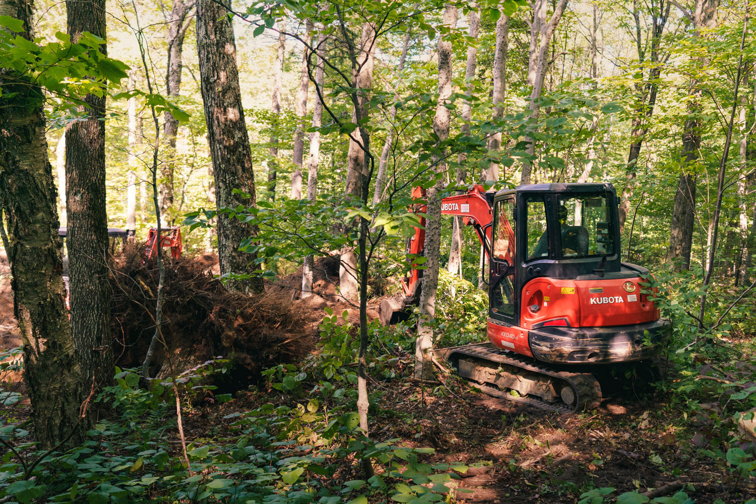 Review Killington Bike Park The Loam Wolf