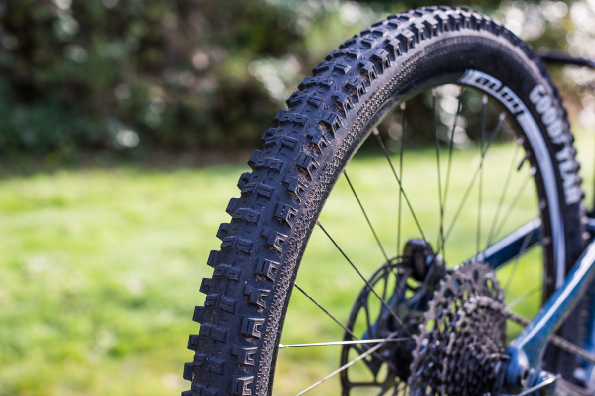 Reviewed Goodyear's Newton Mountain Bike Tires