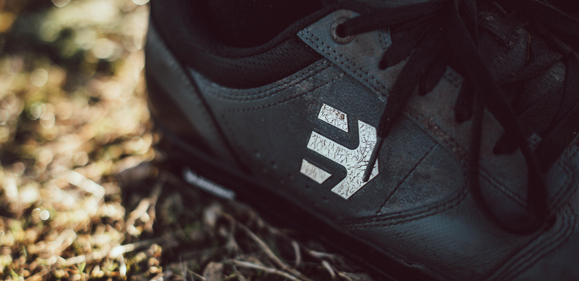 Etnies Camber Crank Shoe Close Up