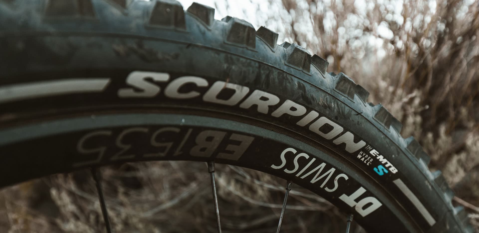 pirelli scorpion emtb tyres