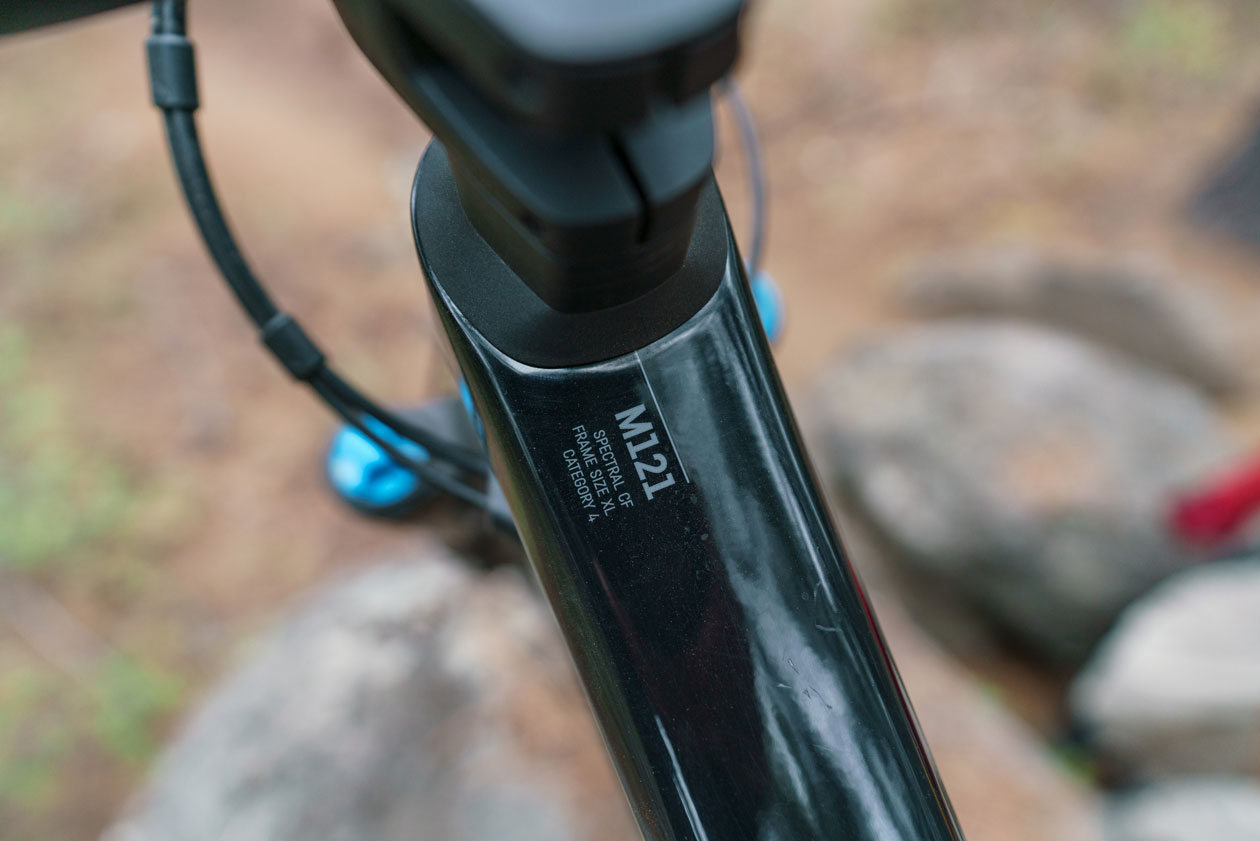 CANYON SPECTRAL 29 CF 8 REVIEW
