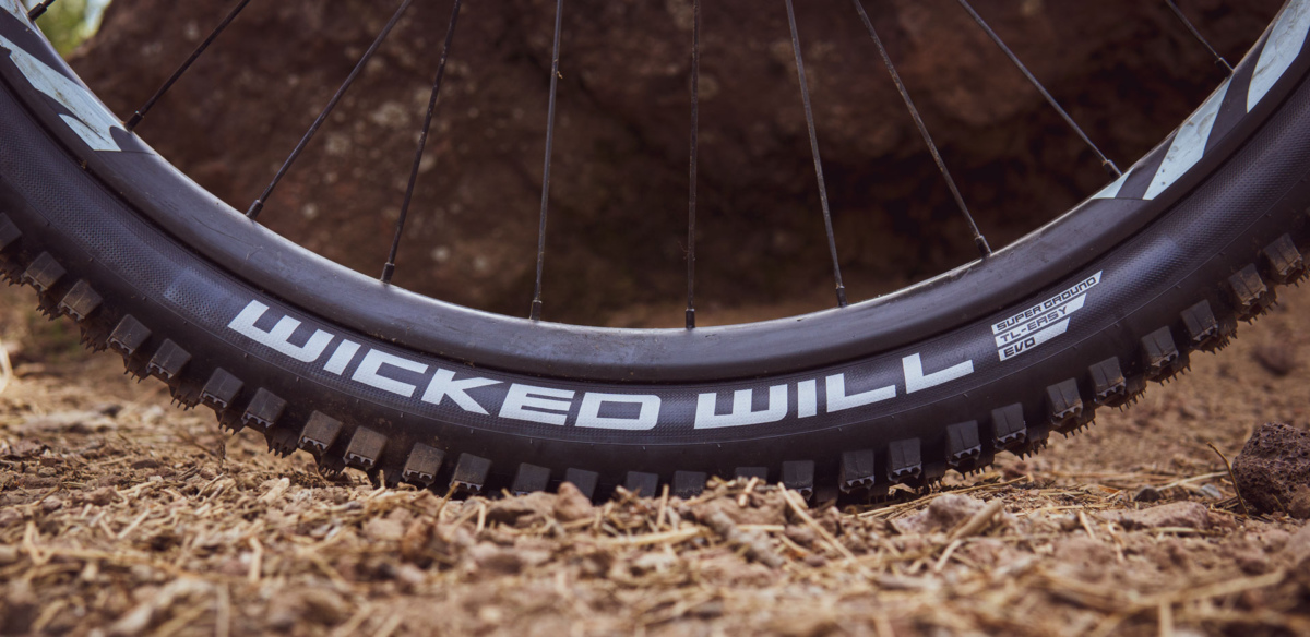 schwalbe wicked will tires