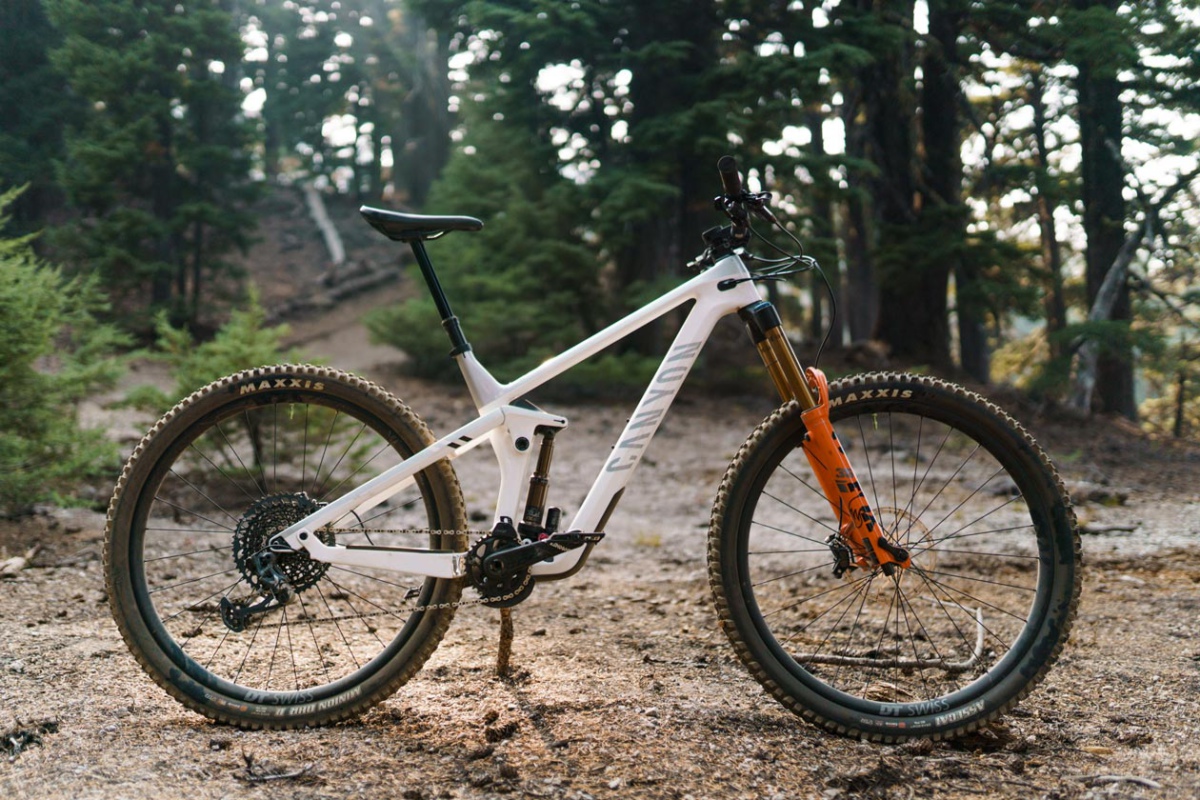 What is the Shapeshifter? Canyon Strive Dissected | The Loam Wolf