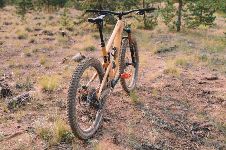 bronson v4
