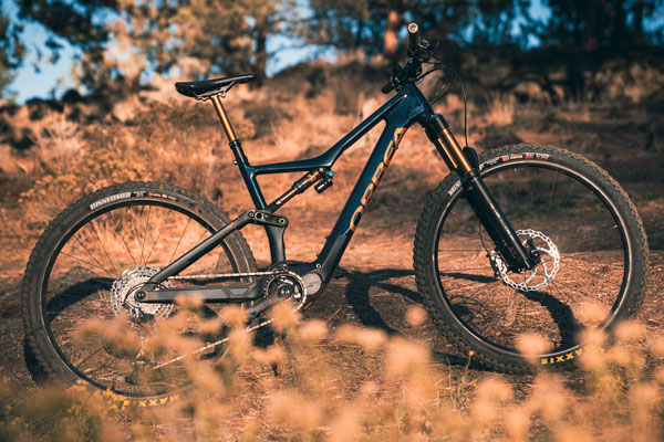 Long-Term Review: <br>Orbea Rise M-Team