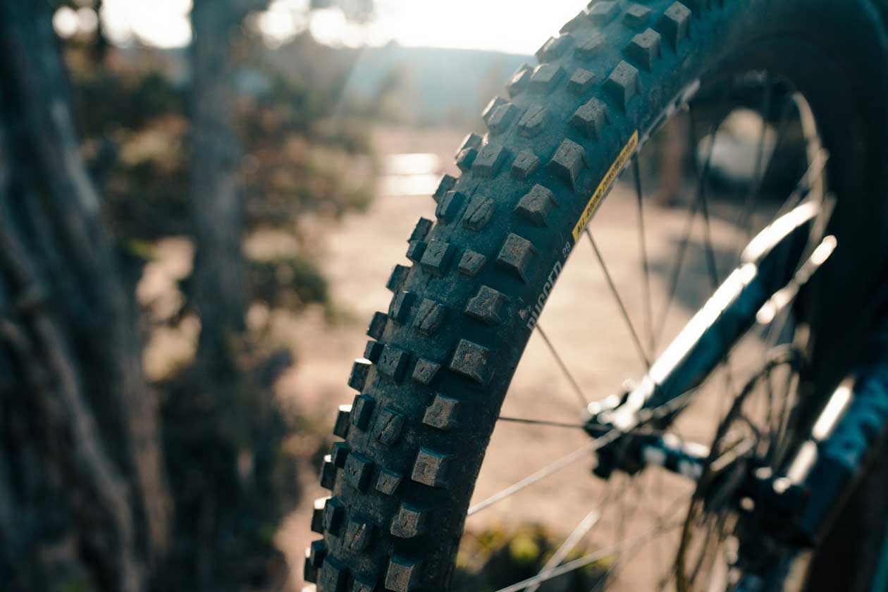 Delium Rugged All-Round Tire Review