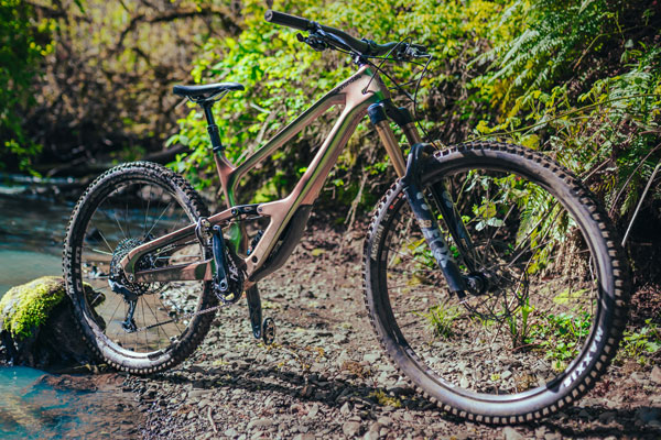 Review: <br>Cannondale Jekyll 1 29