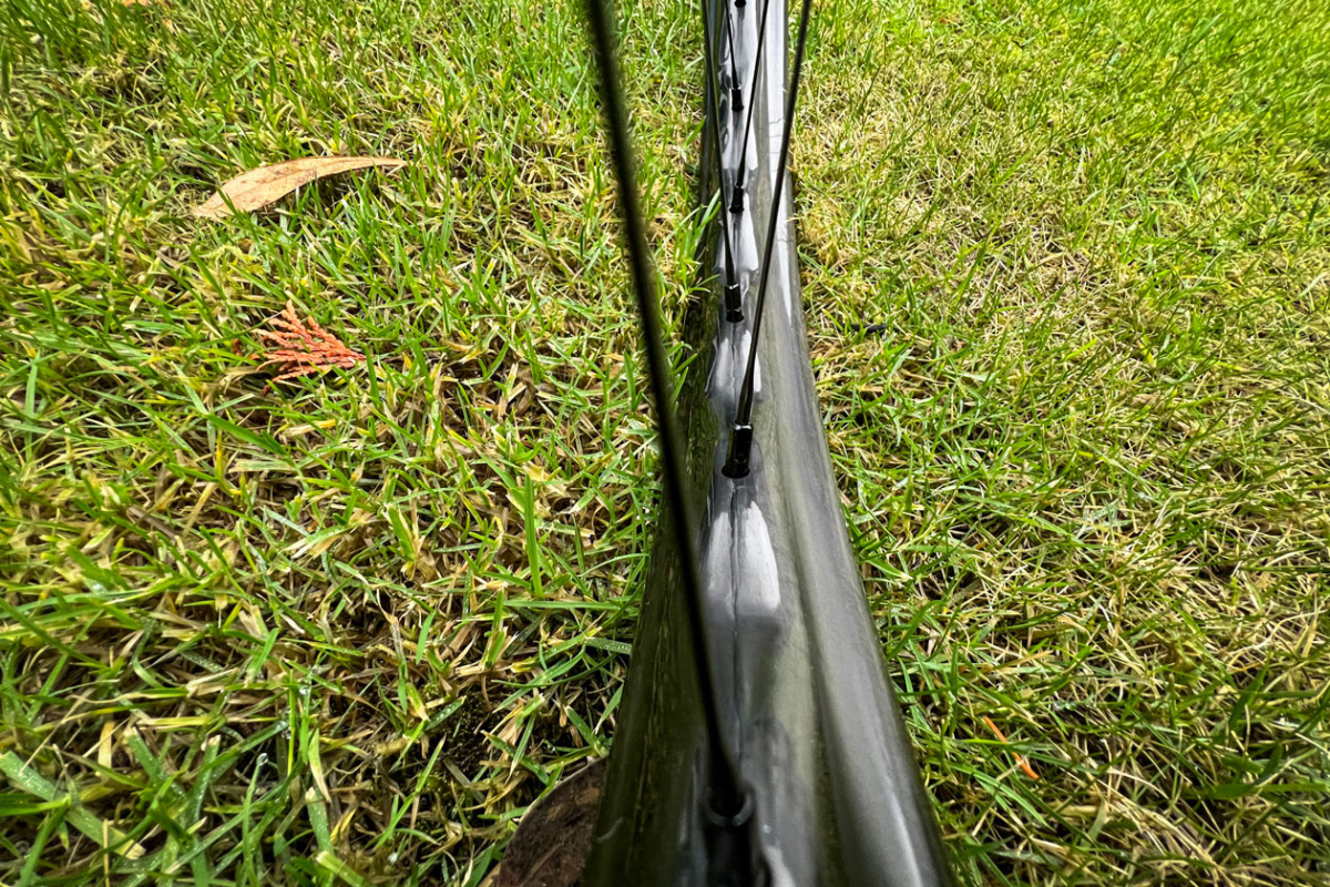 Review Light Bicycle AM930S I9 Hydra Wheelset The Loam Wolf