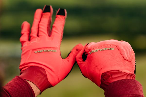 Review: <br>Endura MT500 D3O Gloves