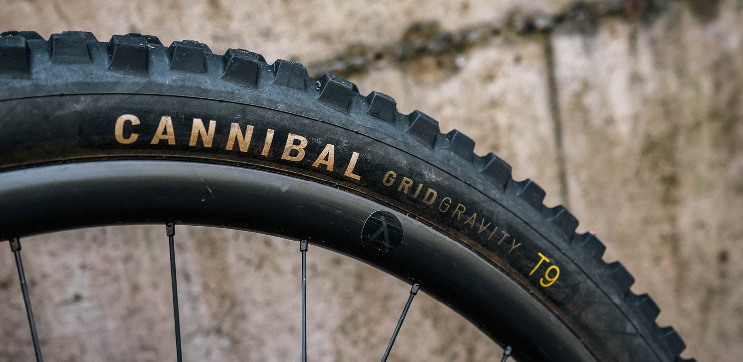 Specialized Cannibal MTB Tire Review