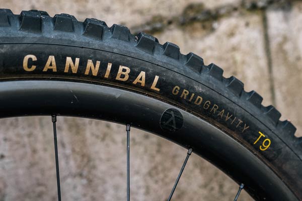 Review: <br>Specialized Cannibal MTB Tire