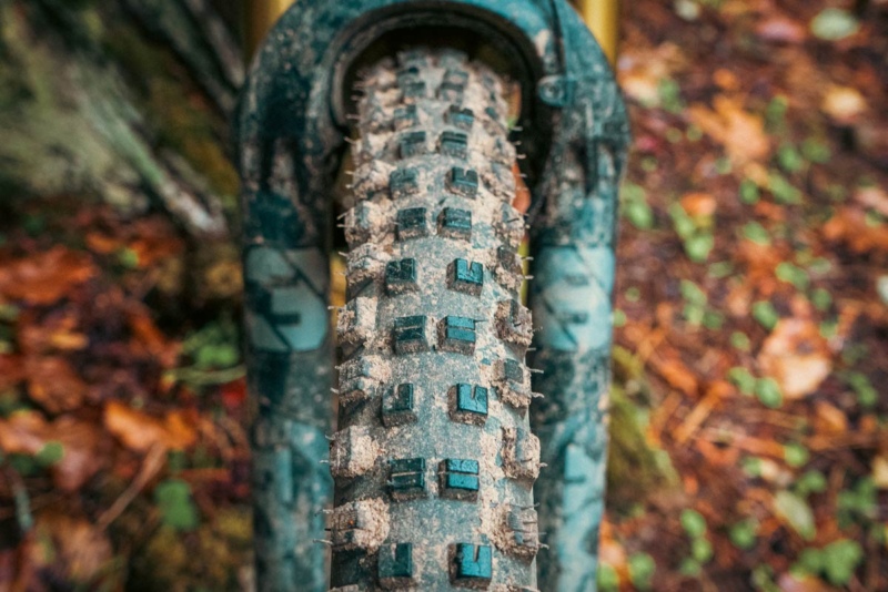 hillbilly mtb tyre