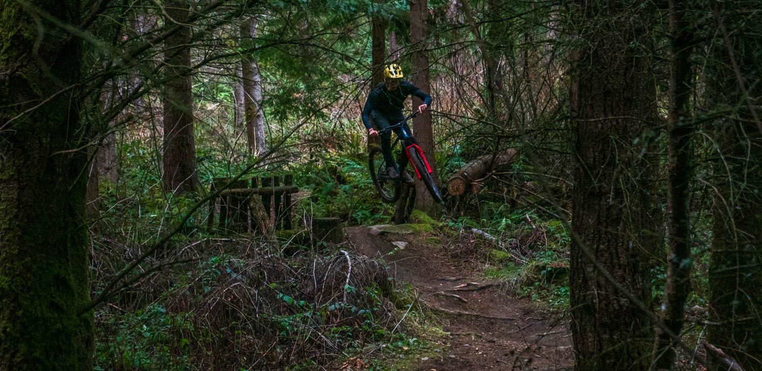 Marin El Roy Hardtail Review