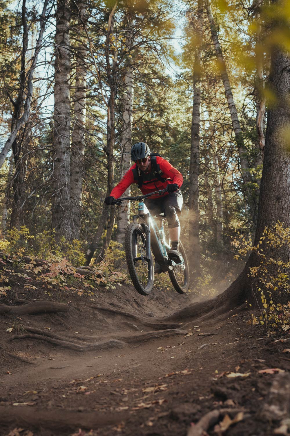 Dissected: Fezzari Timp Peak First Look | The Loam Wolf