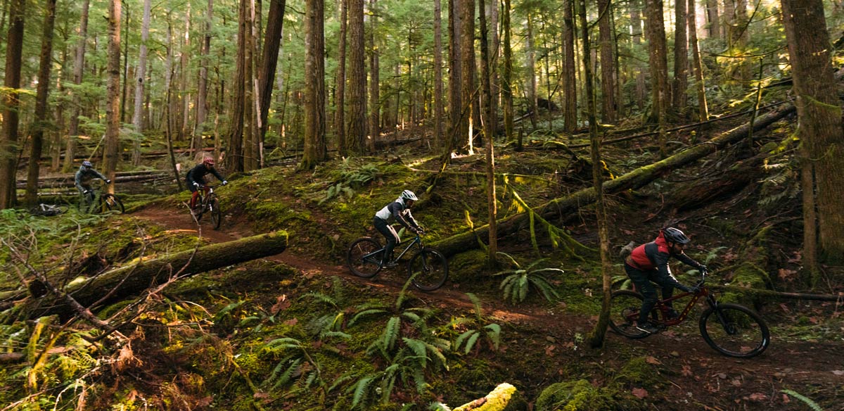 tlw_budgetbike_shootout_2023-7883