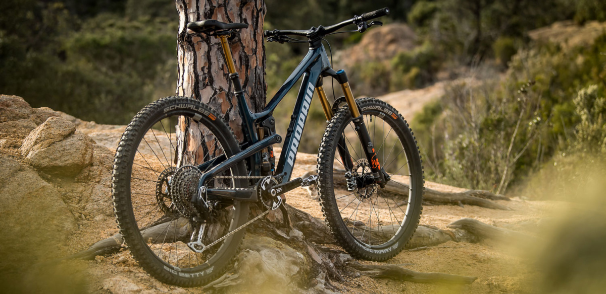 Propain Launches the All-New Tyee | The Loam Wolf