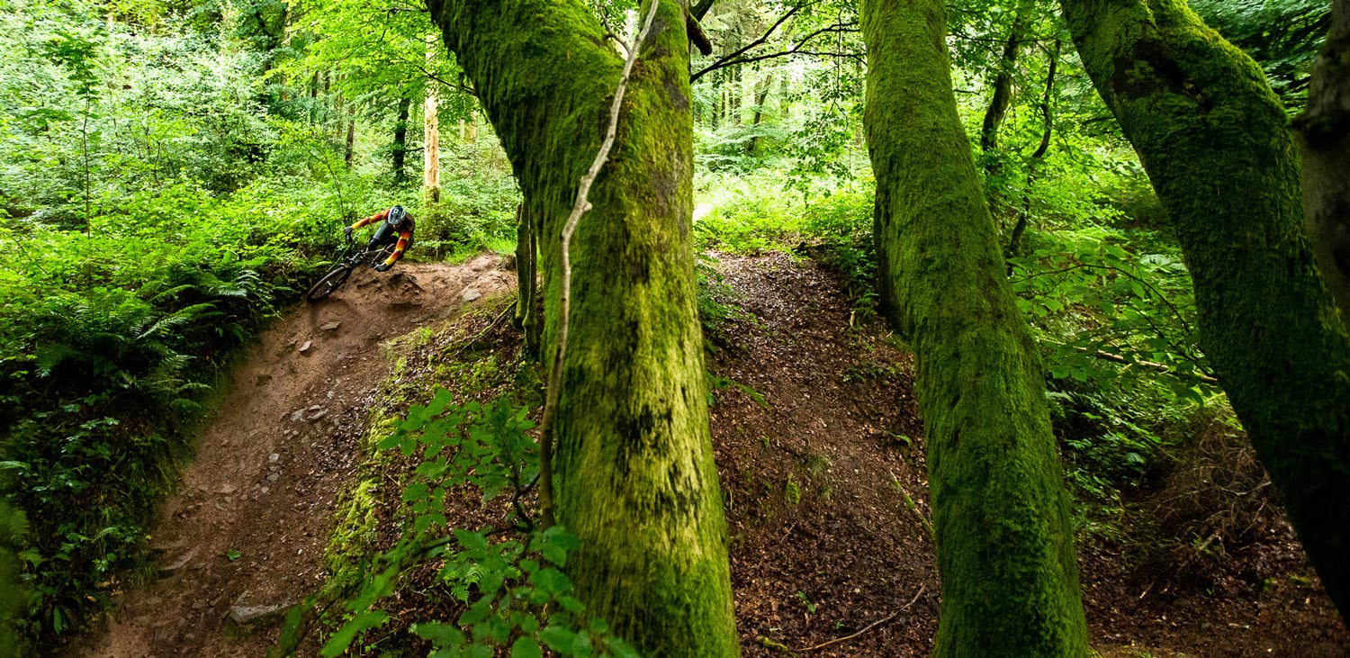 Starling Cycles Roost Hardtail Mountain Bike Review