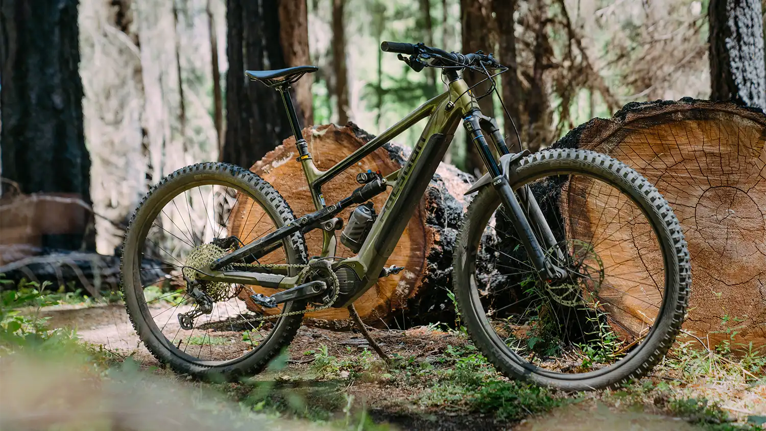 Polygon TE eMTB Line Dissected