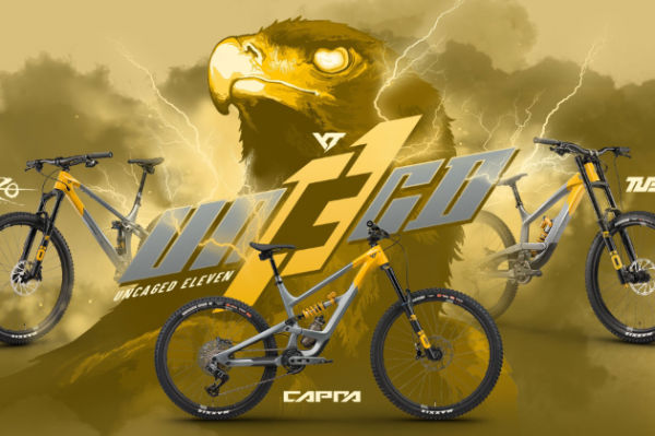 ツアー支給品 GOAT Tour Only 303SS Handstamped Uncaged Models | YT-Industries