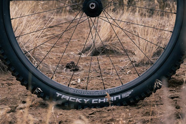 Review: <br>Schwalbe Tacky Chan