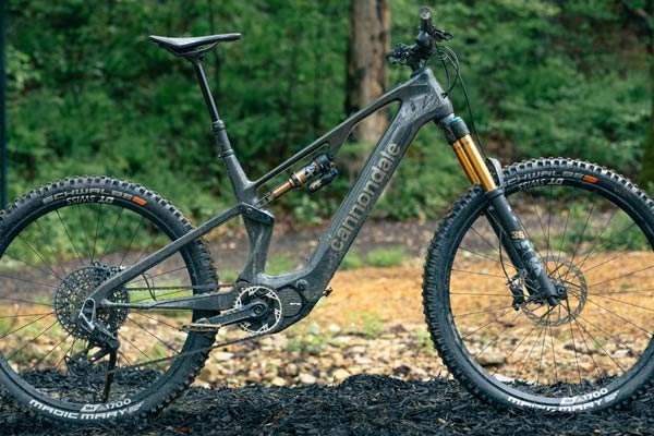 Review: <br>Cannondale Moterra SL 1