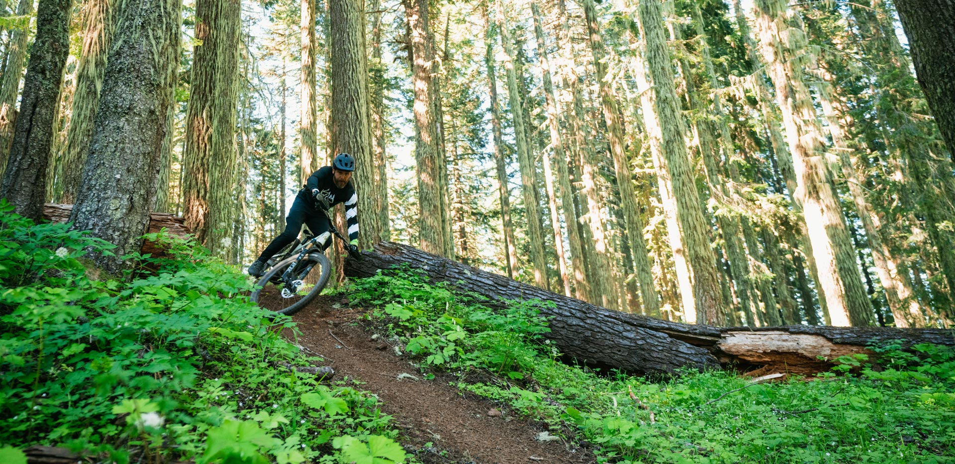 Riding the 2024 Norco Sight C1 Mountain Bike