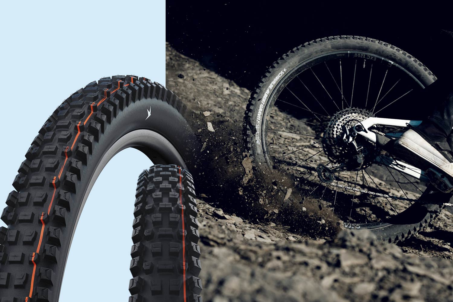 Schwalbe Albert Pro Radial MTB Tire