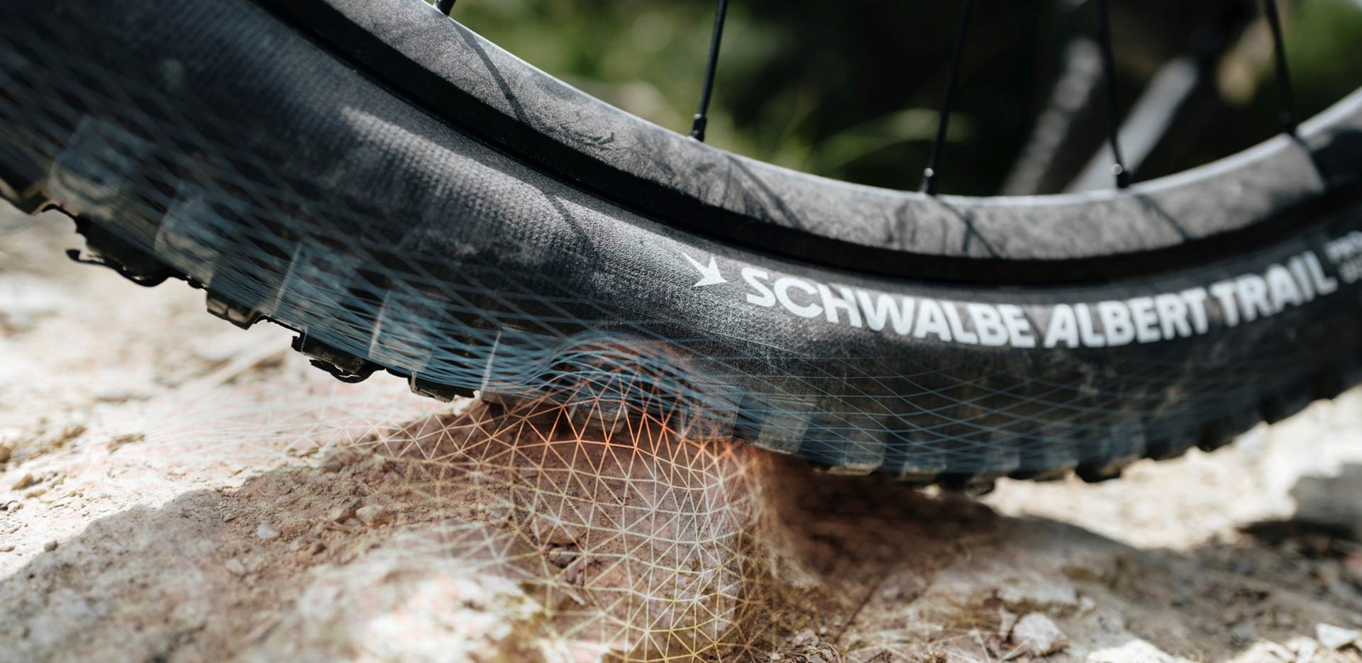 schwalbe albert pro radial casing flex image