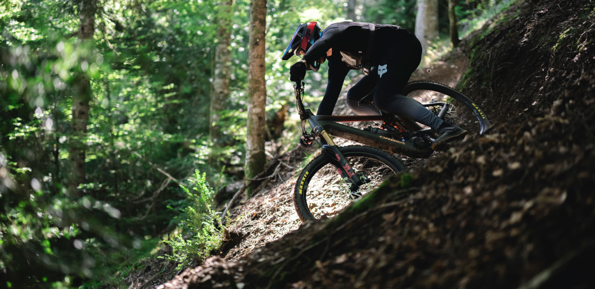 2025 Orbea Wild eMTB Action