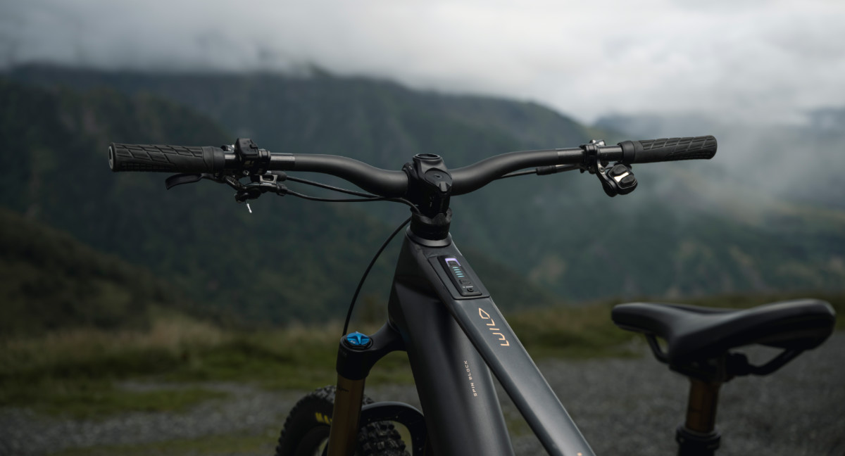 2025 Orbea Wild eMTB Cockpit