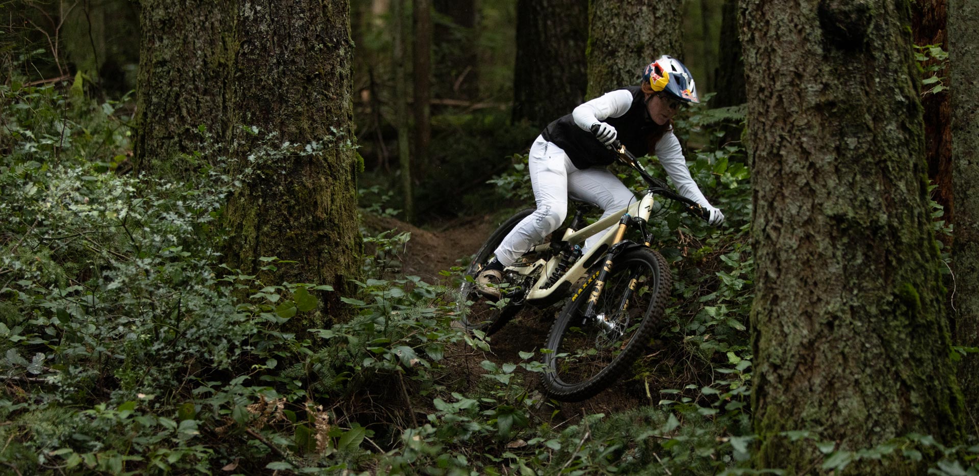 FR1D8689 The New Fox 36 and 36 SL Trail Forks