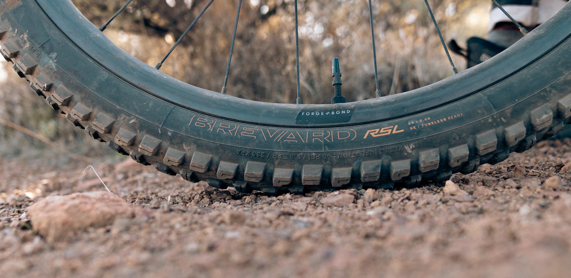 bontrager-brevard-rsl-tire-review- Bontrager Galbraith RSL and Brevard RSL Tire Combo Review