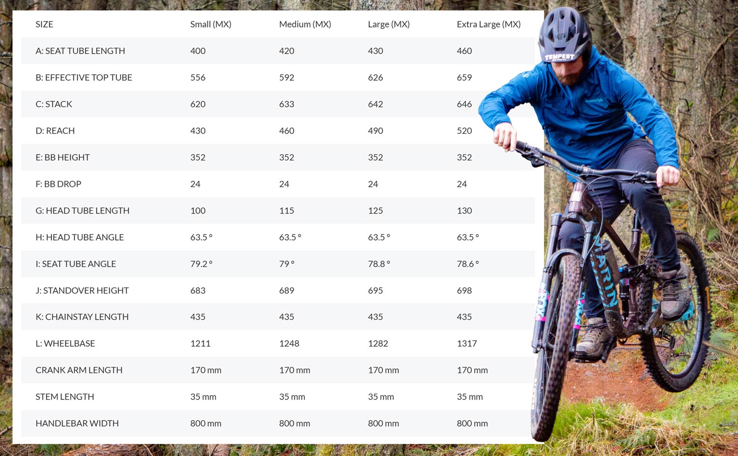 Marin-Alpine-Trail-Geo Marin Alpine Trail 1 Mountain Bike Review