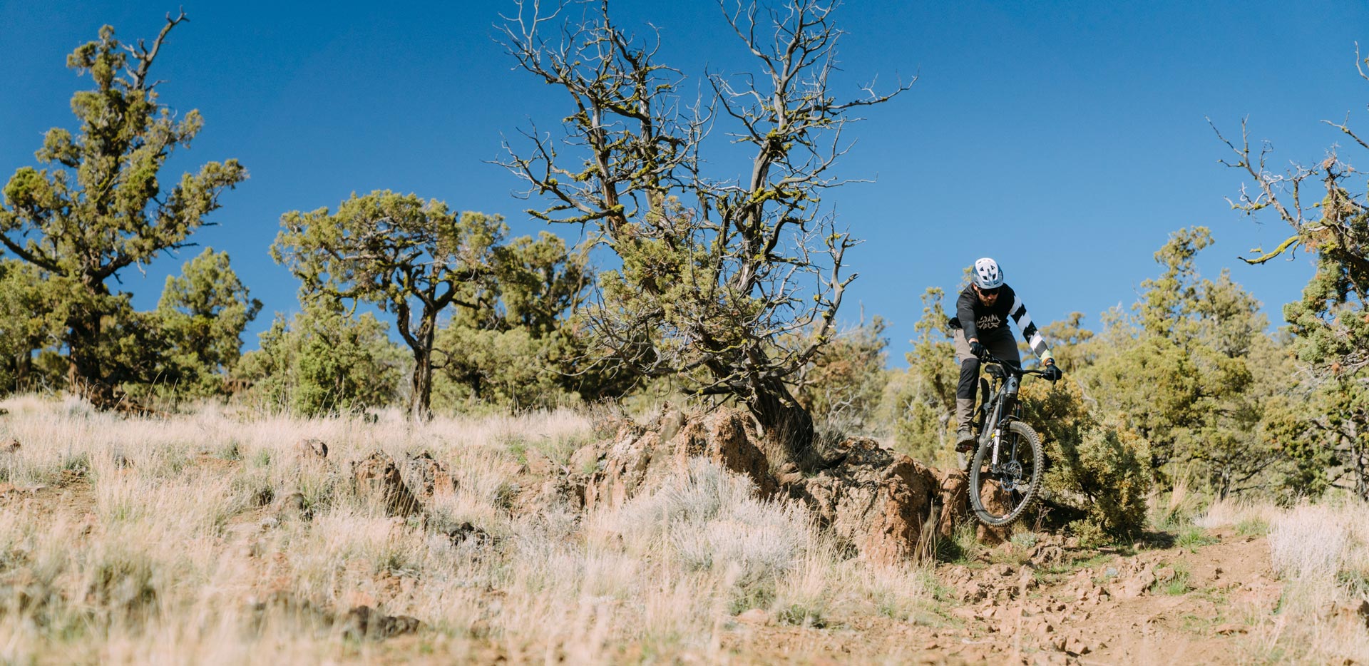 The new Ari Timp Peak 2.0 | Tech Check