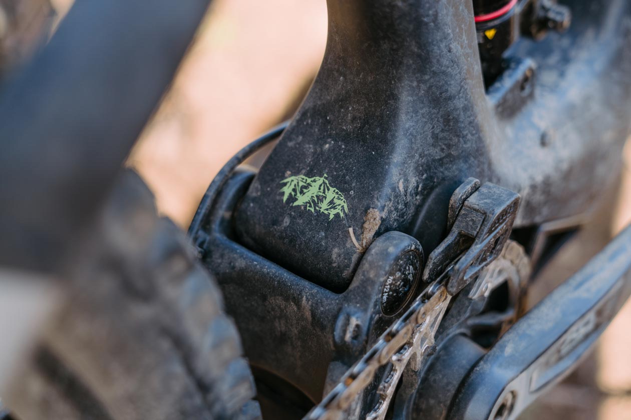 TLW_ARI_Timp_Peak-1328 The new Ari Timp Peak 2.0 | Tech Check